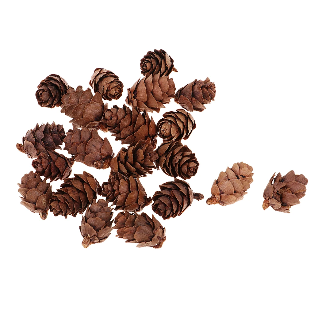 50pcs Small Real Natural Pine Cones For Wedding Xmas Party Hanging Decoration Home Room Cafe Ornament Photo Prop