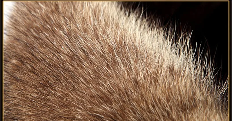 HTB1a4yeMVXXXXcOXVXXq6xXFXXXy