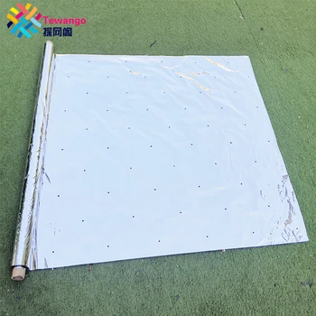 

Micropore Peach Orchard Color Film With Hole Garden Apple Grape Reflective Mulch Greenhouse Warming Brighten Films 100cm Width