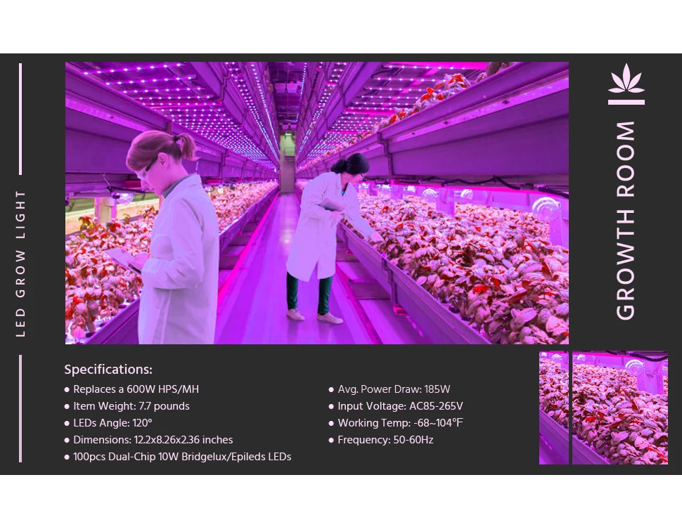 BestVA led grow светильник полный спектр 1000 Вт двойные переключатели Veg цветение режимы