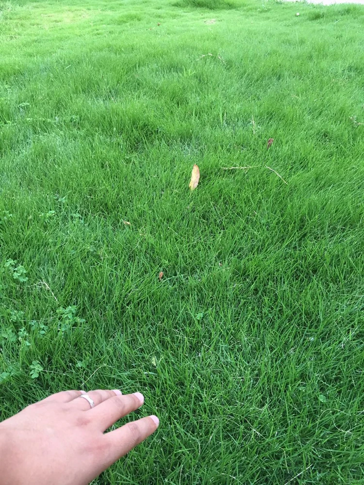 Slide image 1c14a5a6fa5f40c2a3c90a6c41f86628