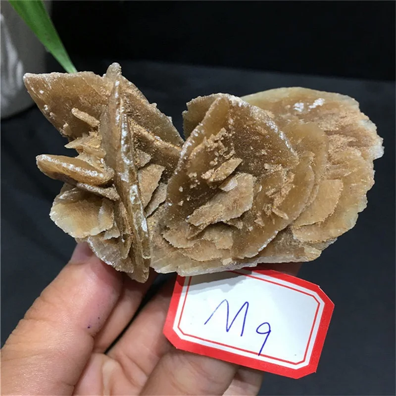 

Natural desert rose quartz crystal mineral specimen feng Shui