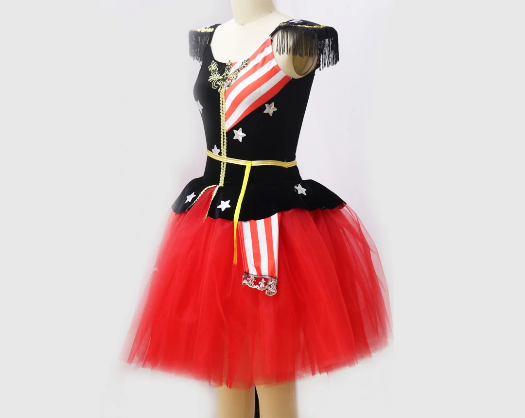 

New ballet dress girls dance wear dance dress tutu skirts tulle Dance wear
