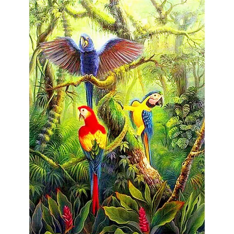 

Gatyztory Parrot Frame Painting By Numbers Animal Canvas Colouring Handpainted Diy Gift Home Wall Decor 60Ã—75cm