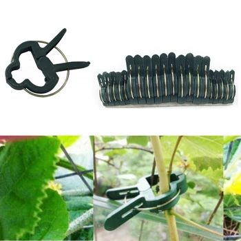 

20pcs Plant Support Clips Orchid Tomato Hanging Vine Connects Plants Protection Cages Greenhouse Vegetables Garden Supplies