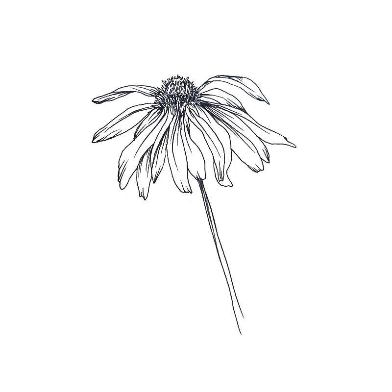 Transparent Stamp Sketch Flowers Clear Stamps Fairy Rubber Silicone Seal for DIY Scrapbooking Card Making Album Photo Decoration
