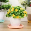 1 Pc Durable Plastic Resin Plant Saucer Drip Trays Plastic Tray Saucers Indoor Outdoor Thickened Flower Pot Garden Tool 5