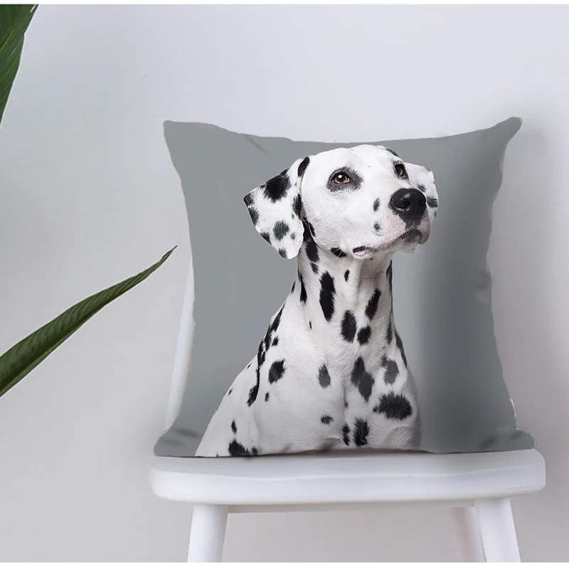 

Throw Pillow Case Decorative Cushion Cover , Dalmatian Dog For Sofa Bed Pillow Case Cover
