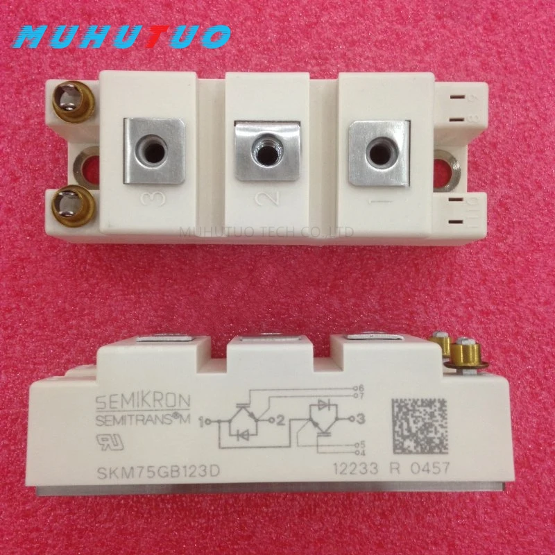 

SKM50GB123D SKM75GB123D module