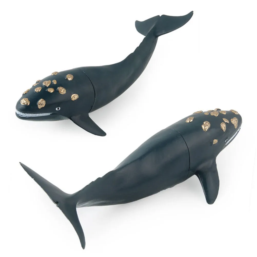Simulação Baleia Tubarão Oceano Animal Pvc Modelo Estatueta Crianças Brinquedo Mesa Decoração Inteligência Desenvolver Aprendizagem Precoce Brinquedos 6 Pçs 11 Brinquedos e hobbies