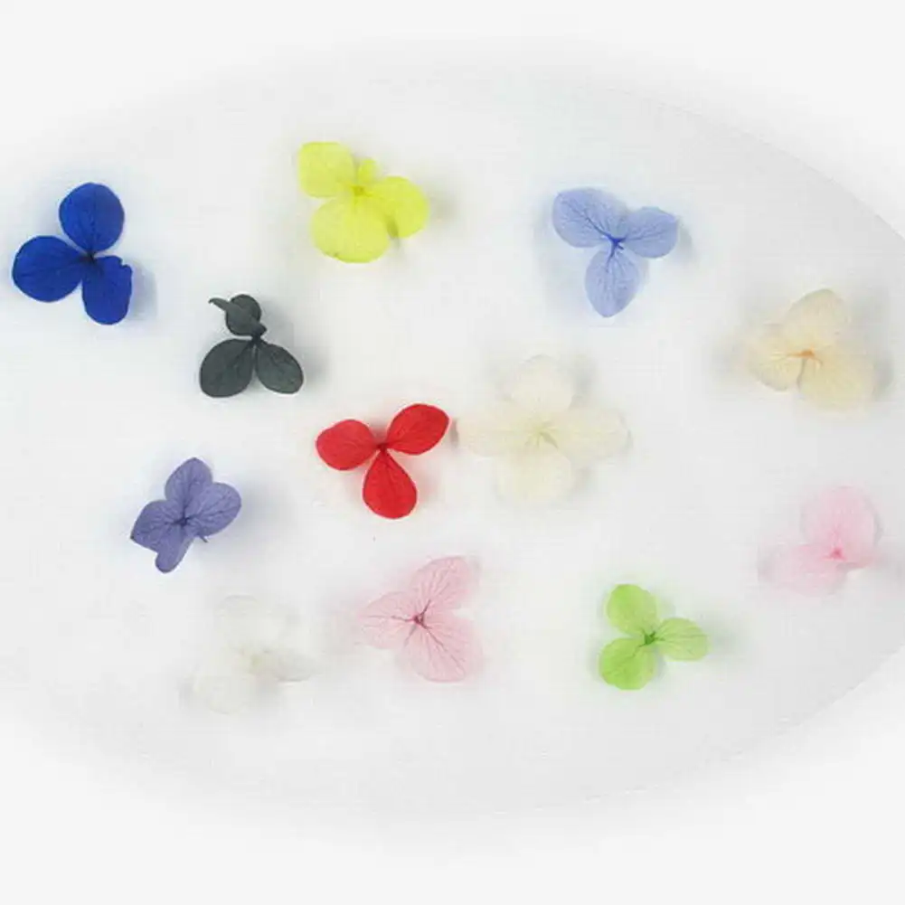 Лучшие 12 цветов сушеные цветы дизайн ногтей стикер лепесток в форме ногтей маникюрная наклейка с пинцетом QQ99