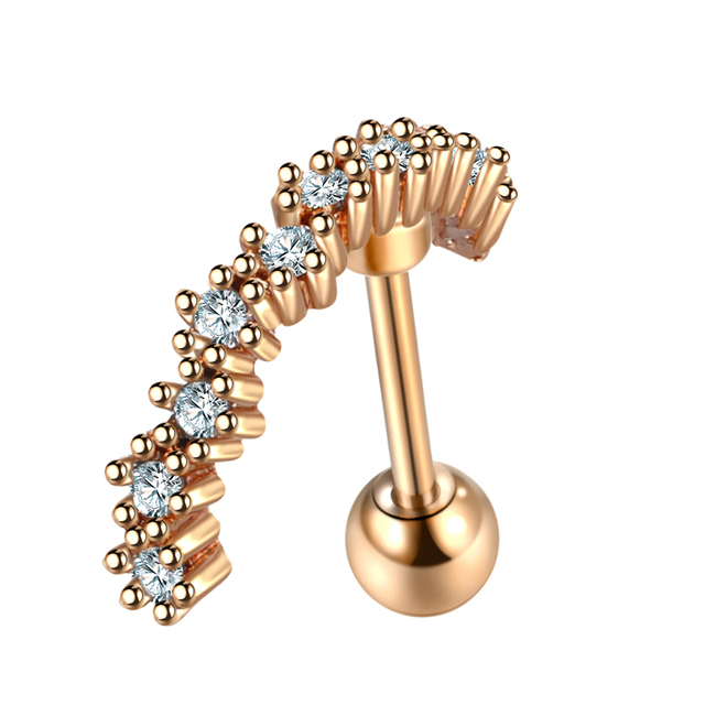Rose Gold Prong CZ Cartilage Stud Helix Rook Conch Screw Back Earring 20G Stainless Steel Ear Piercings Sexy Women Jewelry