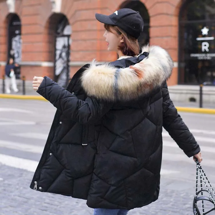 微信图片_201908191434477