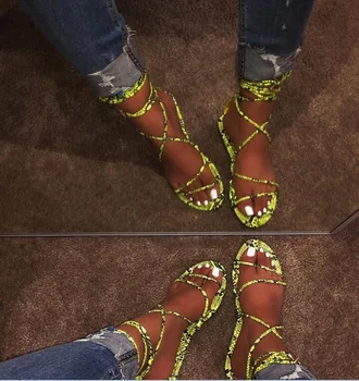 

Women Sandals Summer Flat Transparent Shoes Female Flip Flops Sandals Outdoor Serpentine Band Ladies Slides