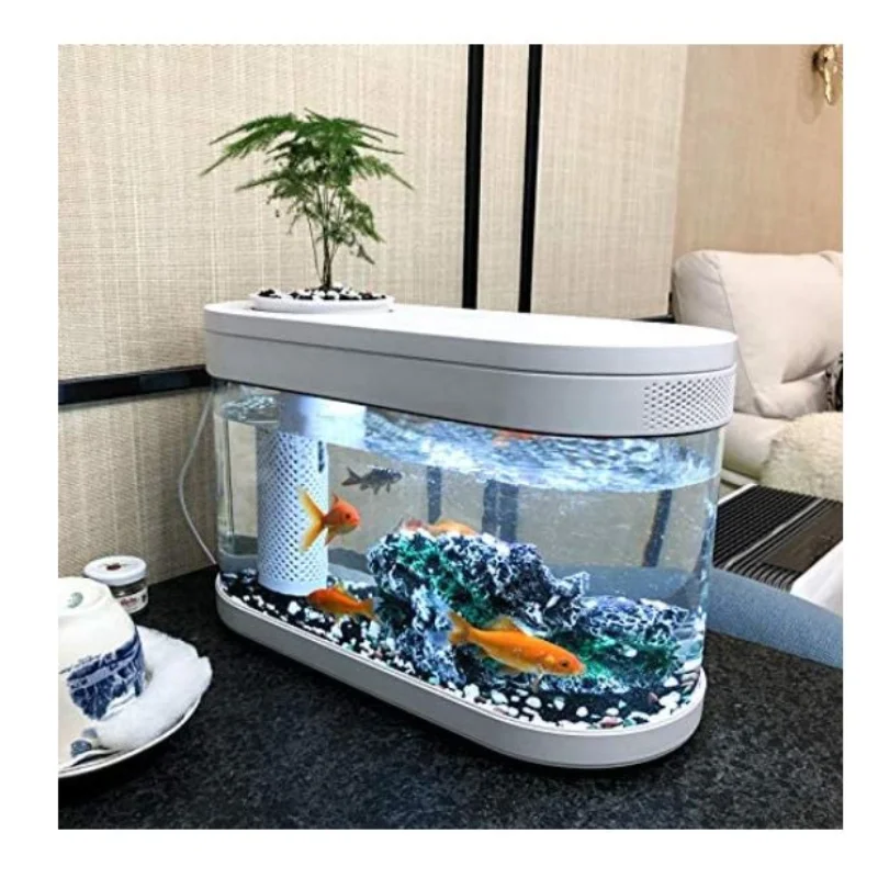 Geometry Fish Tank Ecosystem Small Water Garden Home Decoration