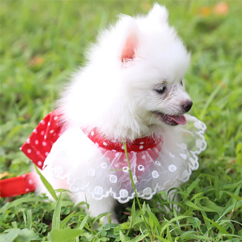 Adjustable Dog Harness Set with Leash - PeticaDeals