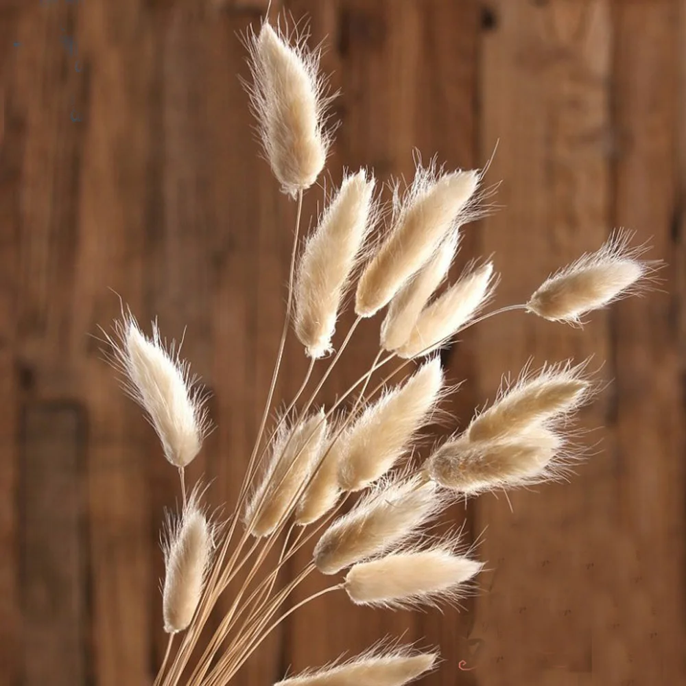 TB228W7XX5N.eBjSZFvXXbvMFXa_!!2628873592副本