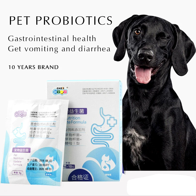 Can A Probiotic Cause Diarrhea In Dogs