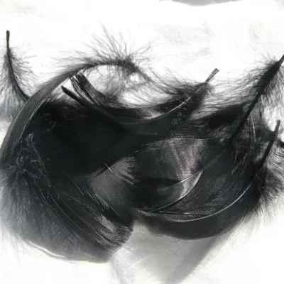 Black 100pcs