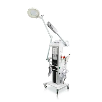 

Upgraded Galvanic Vacuum High Frequency Vacuum Spray Ultrasound Ozone Steamer Face Care Beauty Salon Instrument