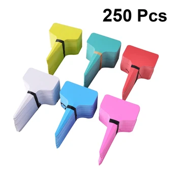 

250pcs T Shaped Flowerpot Label Plastic Insert Sheets Bonsai Pot Recognizer Gardening Succulent Plant Tag Classification Label