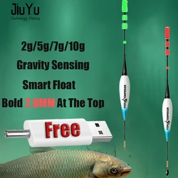 Carp Fishing Smart Float Set 2g 5g 7g 10g Luminosos Peche En Mer Accesorios De Pesca Tackle Equipamentos Starlight CR425 Charger