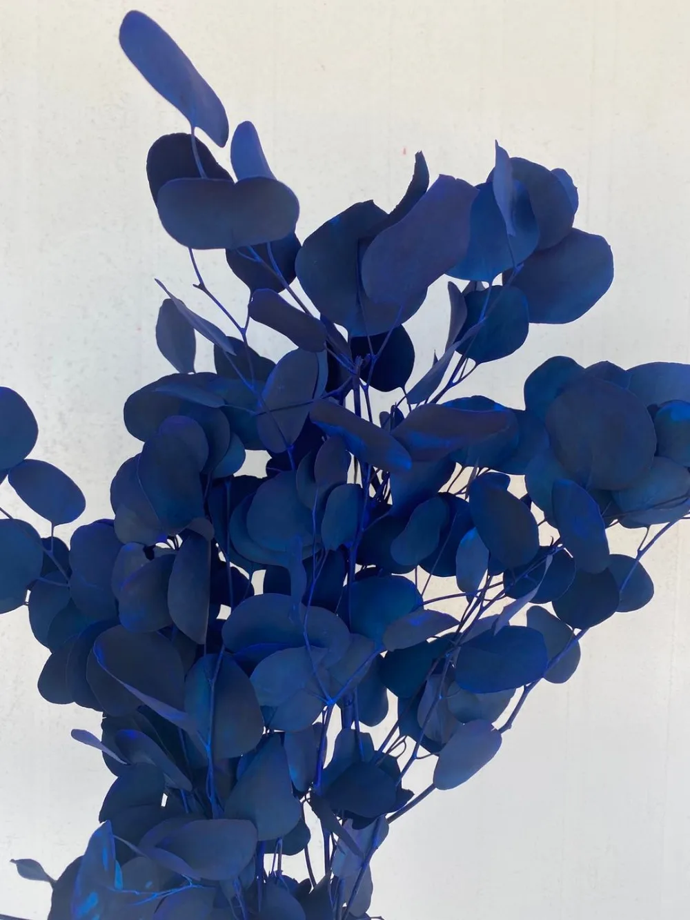 微信图片_20201020150316