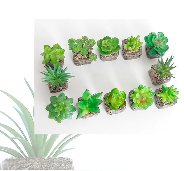 9395834820_1578864972