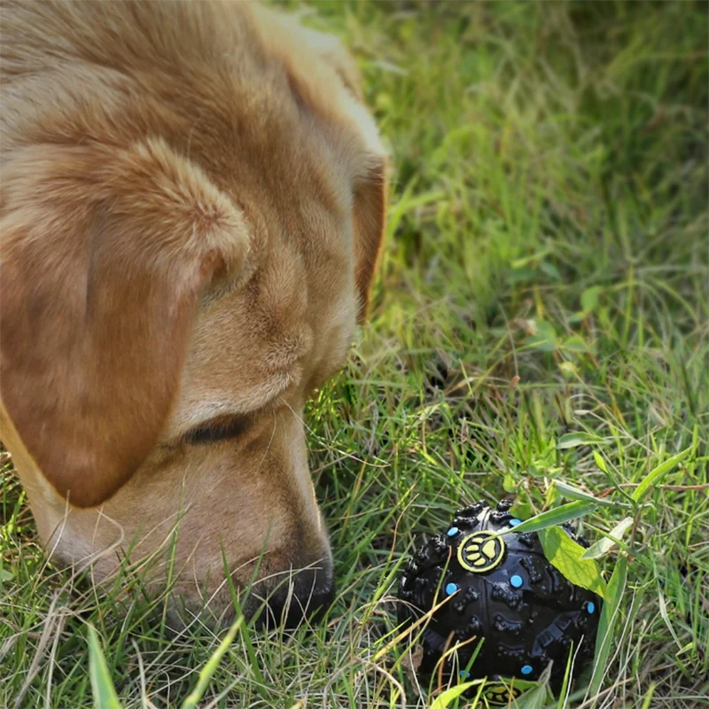 Xiaomi XiaoShouXing Pet Автоматическая утечка корма смешная Интерактивная собака вокальный шар стимулирующий шлифовальные зубы игрушки для питомцев Щенячий поезд