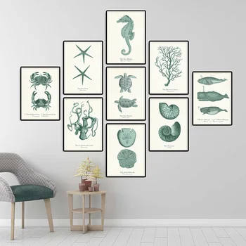 

Fossil Whale Seahorse Octopus Crab Turtle Coral Starfish Snail Nautilus Retro Wall Art Canvas Painting Nordic Poster and Print L