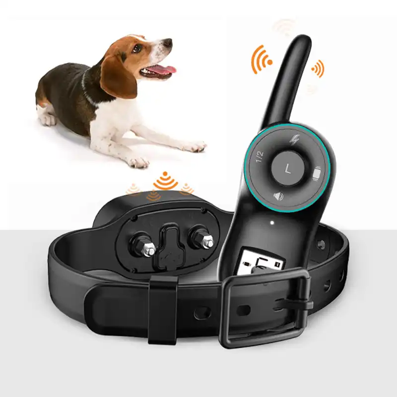 cheap dog shock collar