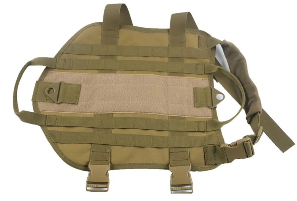 5570612523_1312717047