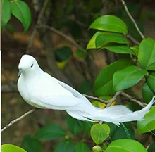 1PC fałszywy ptak białe gołębie sztuczne pianki pióra ptaki z klipsem gołębie dekoracje na ślub boże narodzenie domu tanie tanio CN (pochodzenie)