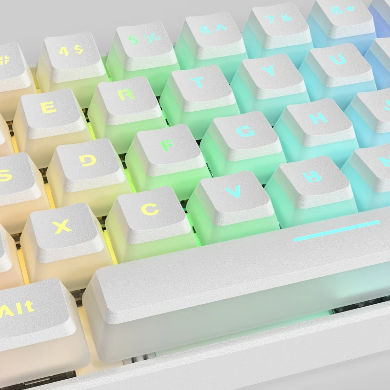 61 Keys Type-C RGB LED Double Skin Milk Shot Backlit Wired Mechanical Keyboard Mini Gaming Keyboard Gateron Switchs for PC