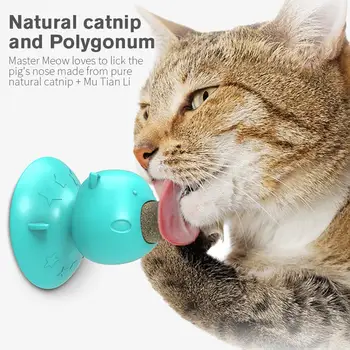 

Catnip Ball Mint Kitten Toys Dental Cat Toy Edible Kitty Toys Funny Multifunctional TPR Pig Head Shape 3 Colors