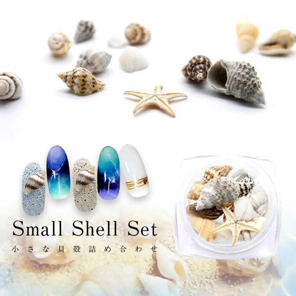 

3D Natural Nail Art Decoration Mini Conch Shells Starfish Sea Beach Ornaments Manicure Tools For DIY Nail Art Decoration Tool