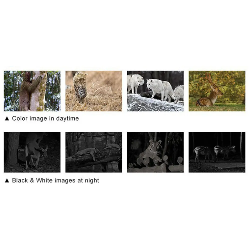 Видео рекордер Cam Trail camera Take Photo 3.0MP 15M животное фотография Охота камера IP56 ночное видение ИК-камера для охоты