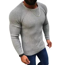 Puimentiua мужской осенний и зимний приталенный пуловер с длинными рукавами и круглым вырезом, свитер, топы, мужские одноцветные теплые простые