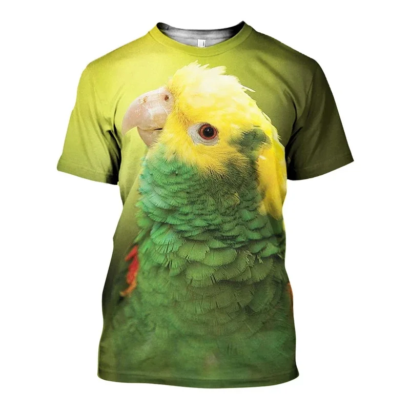 Duc_Parrot_3D_DT231105_ts_800x