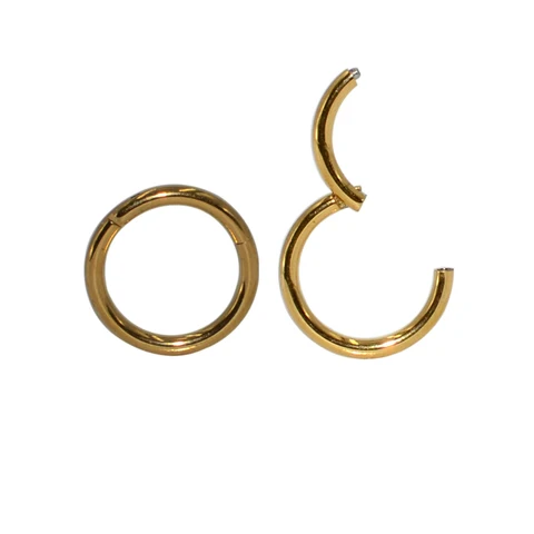 G23 Titanium Hinged Segment Nose Rings Ear Septum Helix Tragus Captive Piercing  Lip Eyebrow Nipple Clicker Body Jewelry