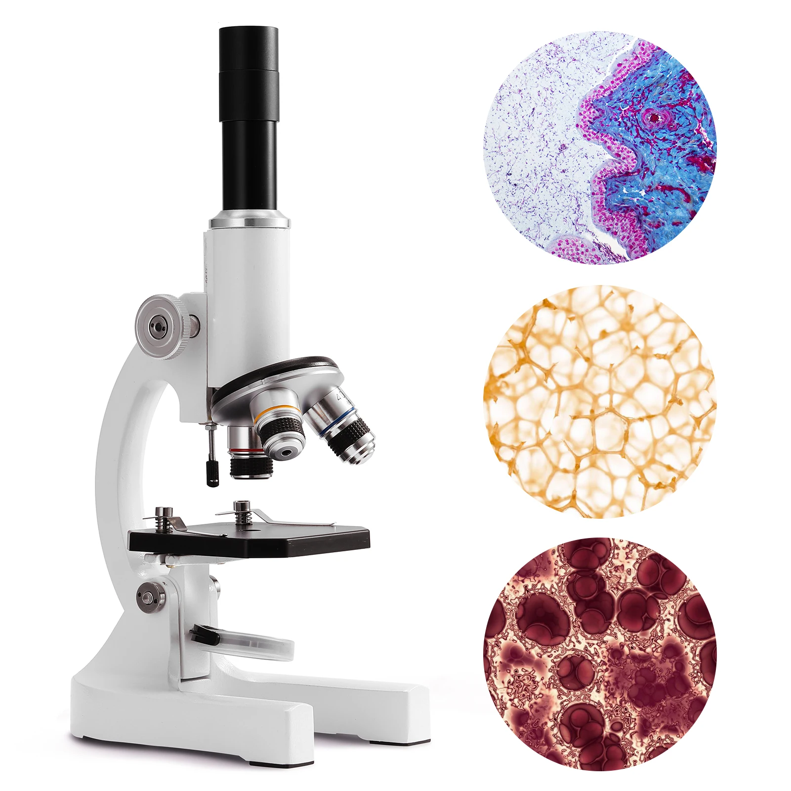 64X-2400X Monocular Optical Microscope Elementary School Children Science Experimental Biology Teaching Digital | Инструменты