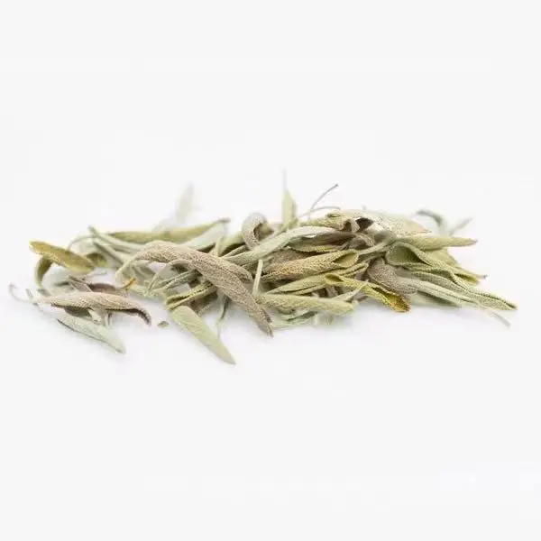 Натуральный органический лист шалфея, Salvia officinalis