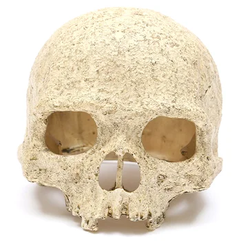 

Aquarium Reptile House Resin Skull, Aquarium Decoration Home Decoration
