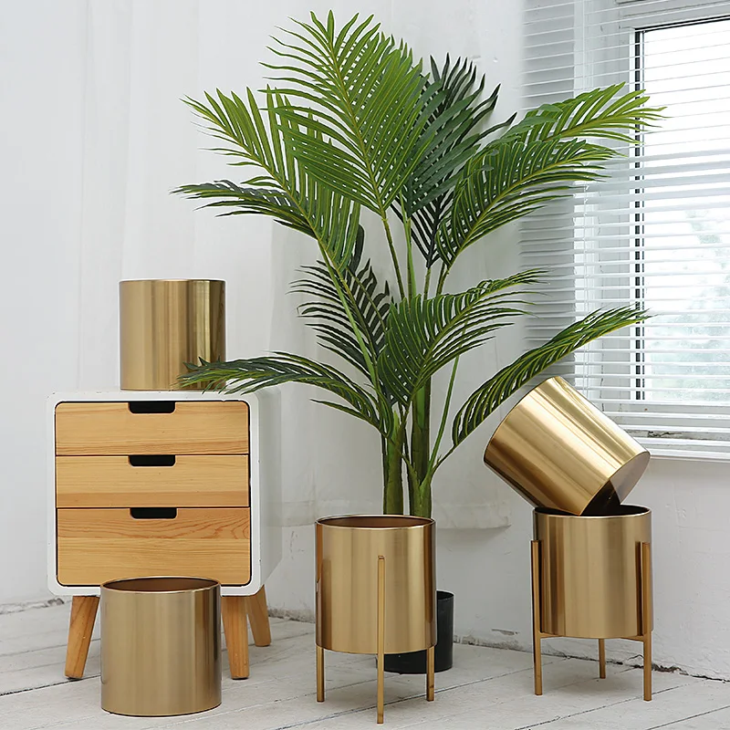 O1CN01vrTzi01WGa5bGacRO_!!2901782761