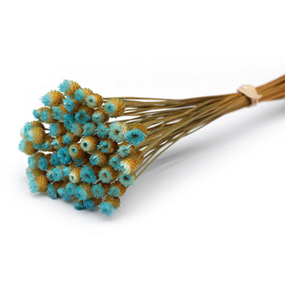 Сушеные цветы с 50 стеблями для расцветок домашний декор реквизит фотосессии