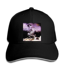 Нэнси J Evans Ministry The Land of Rape and honey, Мужская Повседневная Удобная бейсболка, бейсболка, остроконечная Кепка