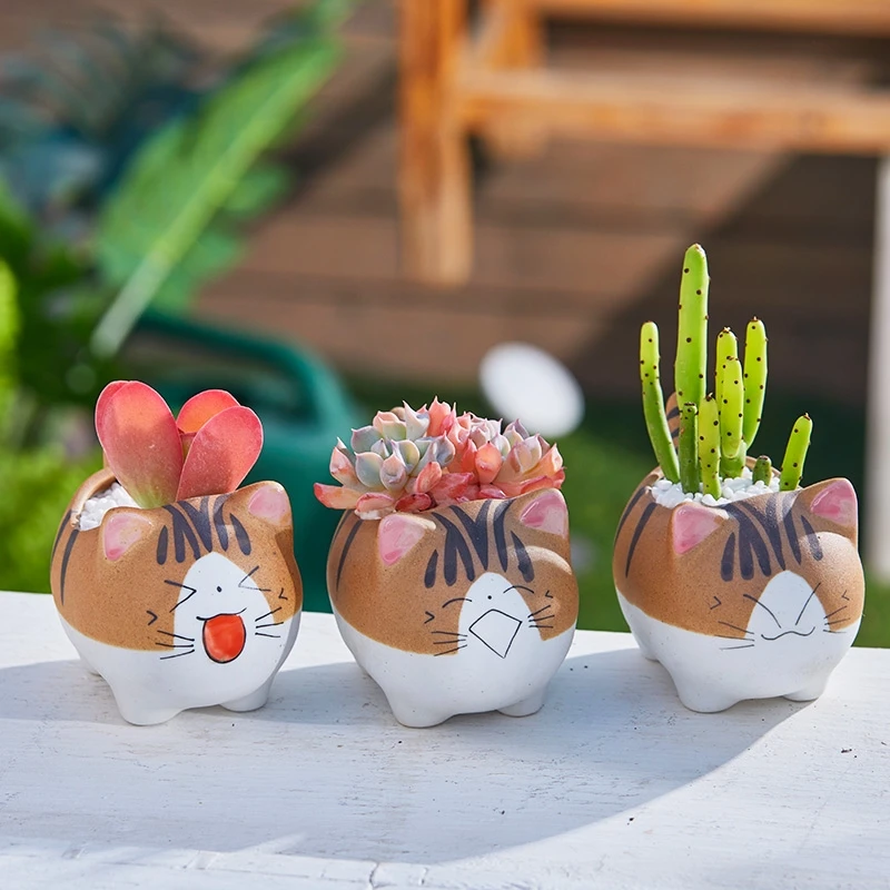 Vaso de flor de cacto suculento em forma de mini desenho animado