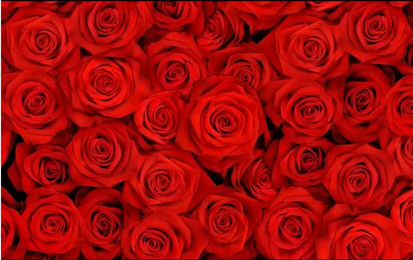 QQ截图20200906110049