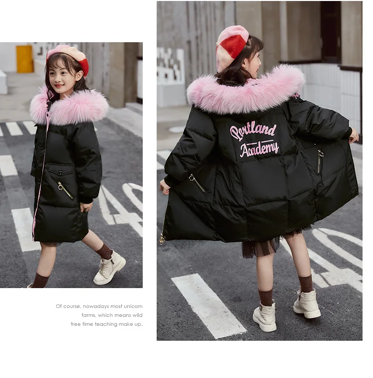 11684464176_2137963351