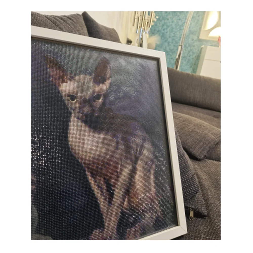 Momoart Peinture Diamant Theme Sphynx Broderie 5d Art Strass Chat Animal Mosaique Decoration De Maison A Faire Soi Meme Aliexpress